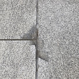 <h4>Skårersletta, Lørenskog. 2023</h4><p>Reparasjon av skada med epoxylim.</p>