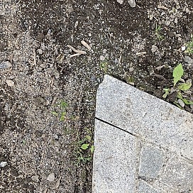 <h4>Skårersletta, Lørenskog. 2023</h4><p>Reparasjon genom anpassning av kantstein.</p>